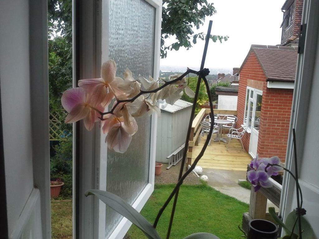 Residential Quarters, The Bungalow - Shooters Hill Vakantiehuis